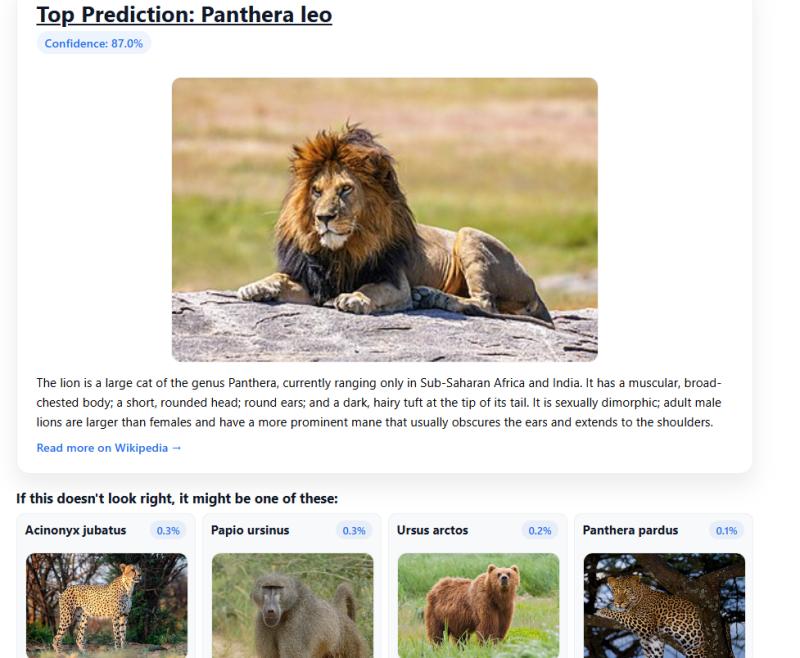 AI Animal and Species Identifier